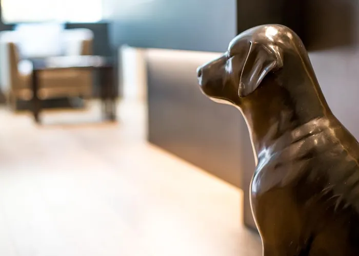 Des Voyageurs Boutique Hotel Lausana